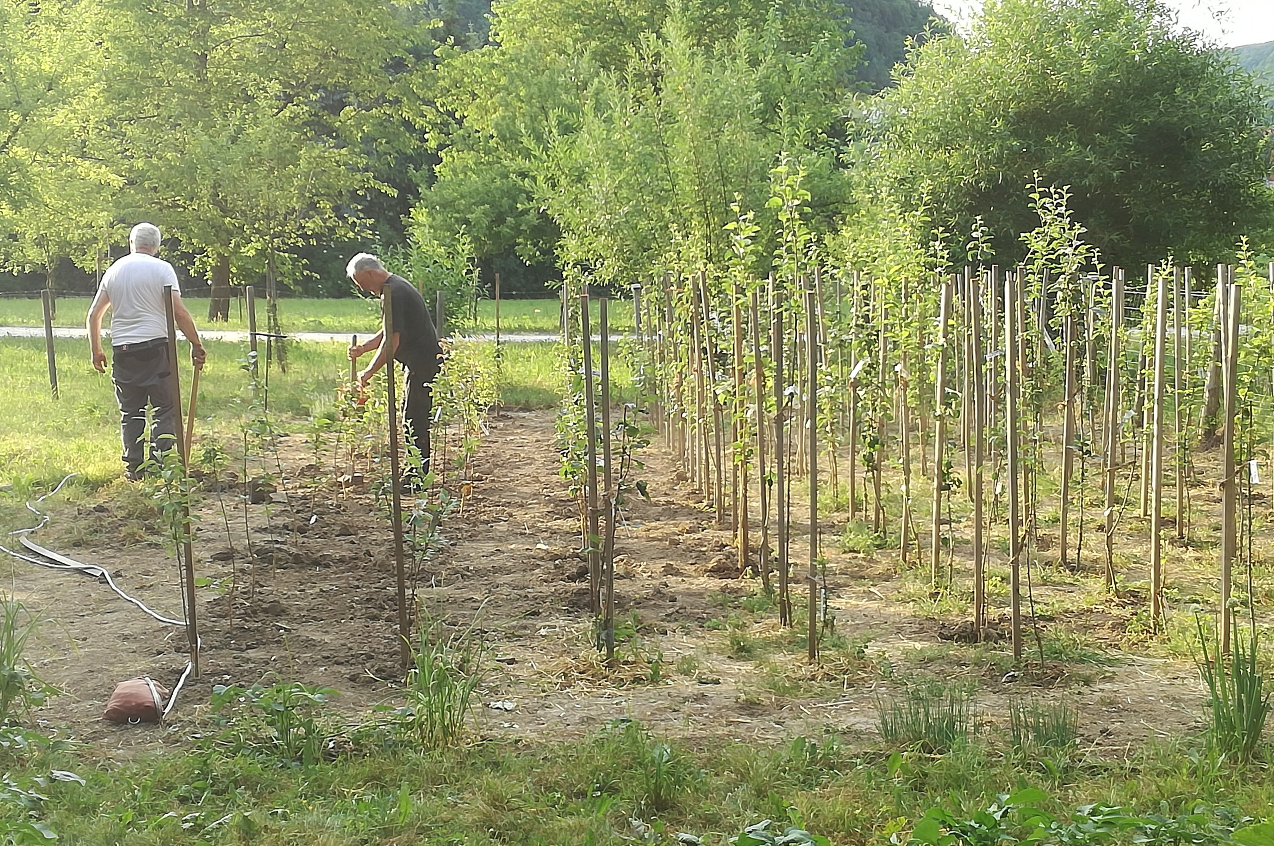 Artenvielfalt verstehen