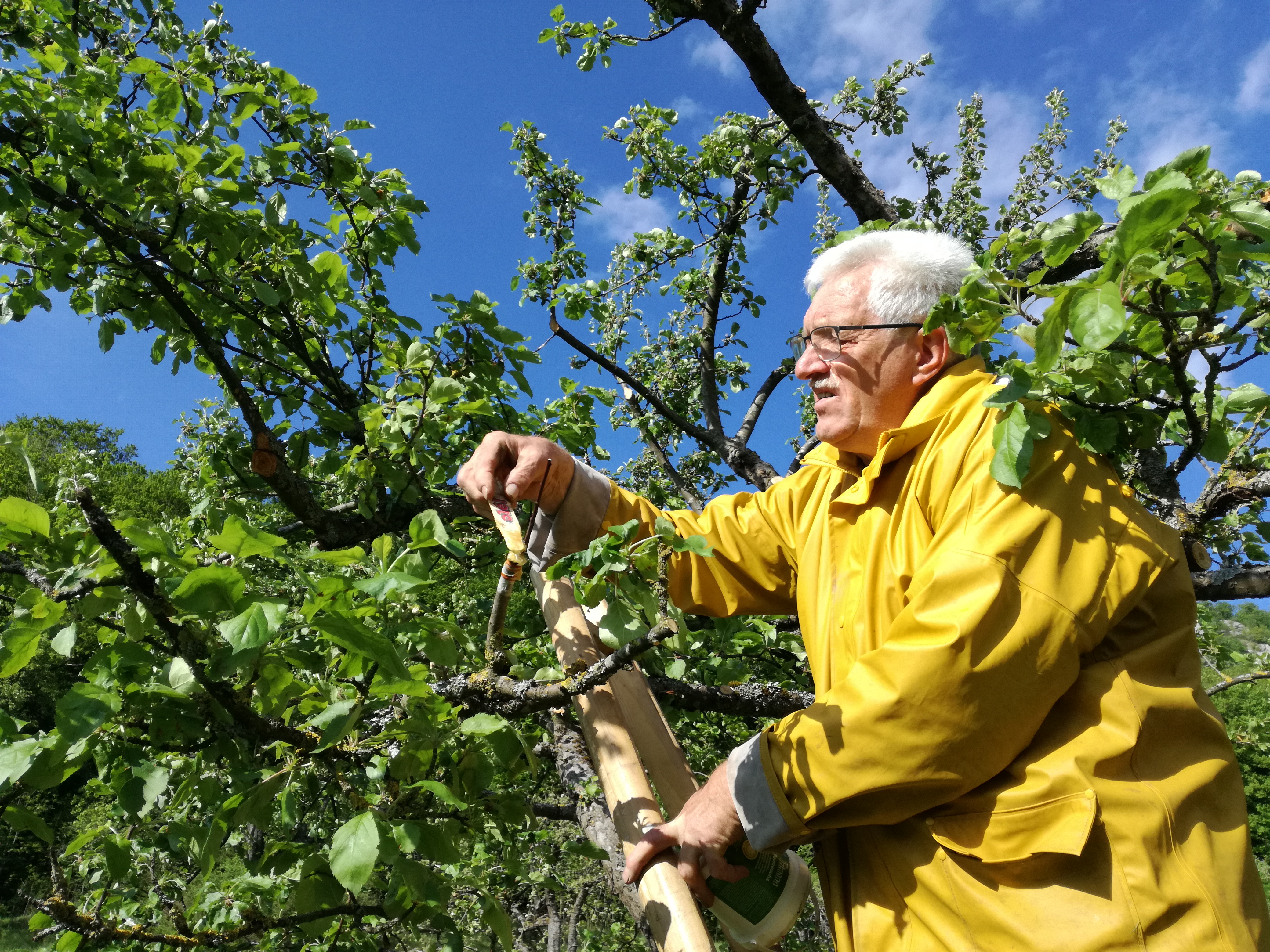 August Kottmann - Most, Säfte, Cider