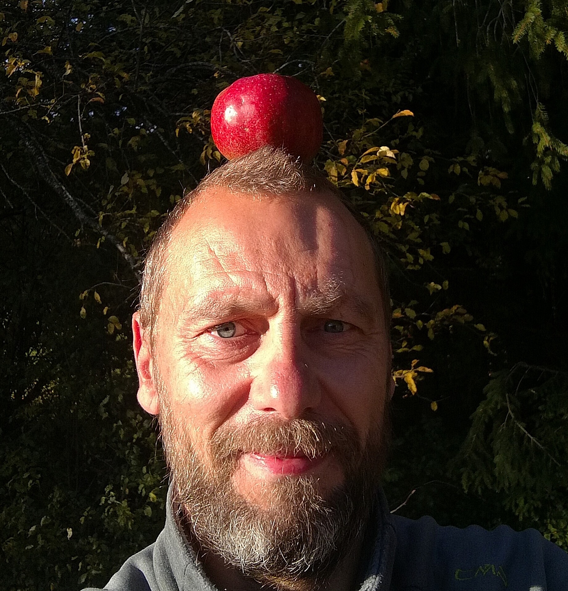 Schwäbische Obstarche - 